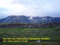 Rentiere Lappland S&aacute;pmi